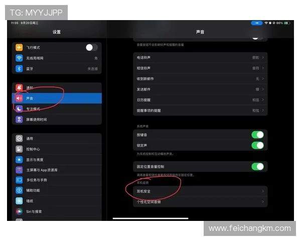 队友麦声音大如何解决? 队友麦声音大如何解决?